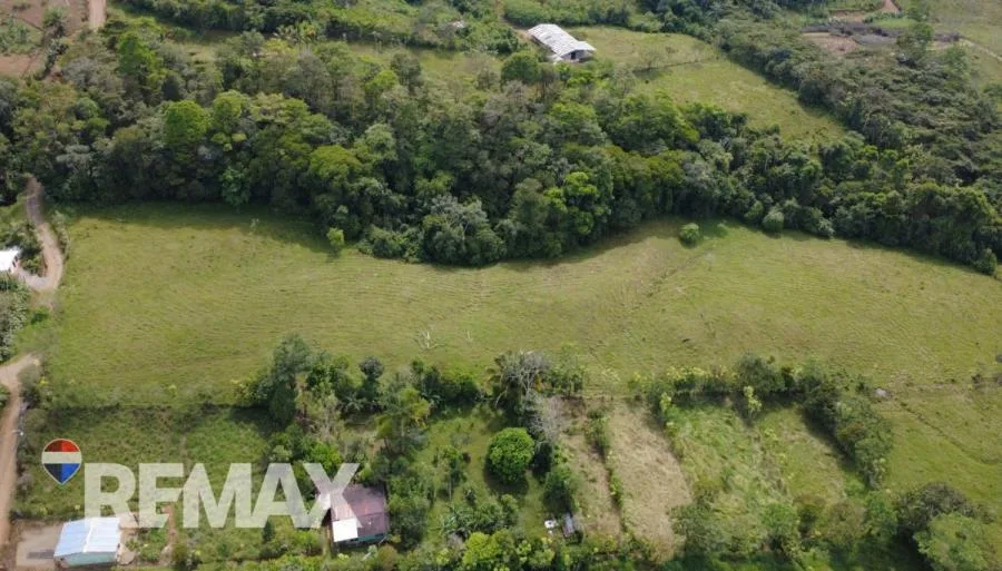 FINCA EN VENTA EN QUIZARRÁ, PÉREZ ZELEDÓN – 24.113 m² CON ALTO POTENCIAL - Venta en Perez Zeledón, photo 8