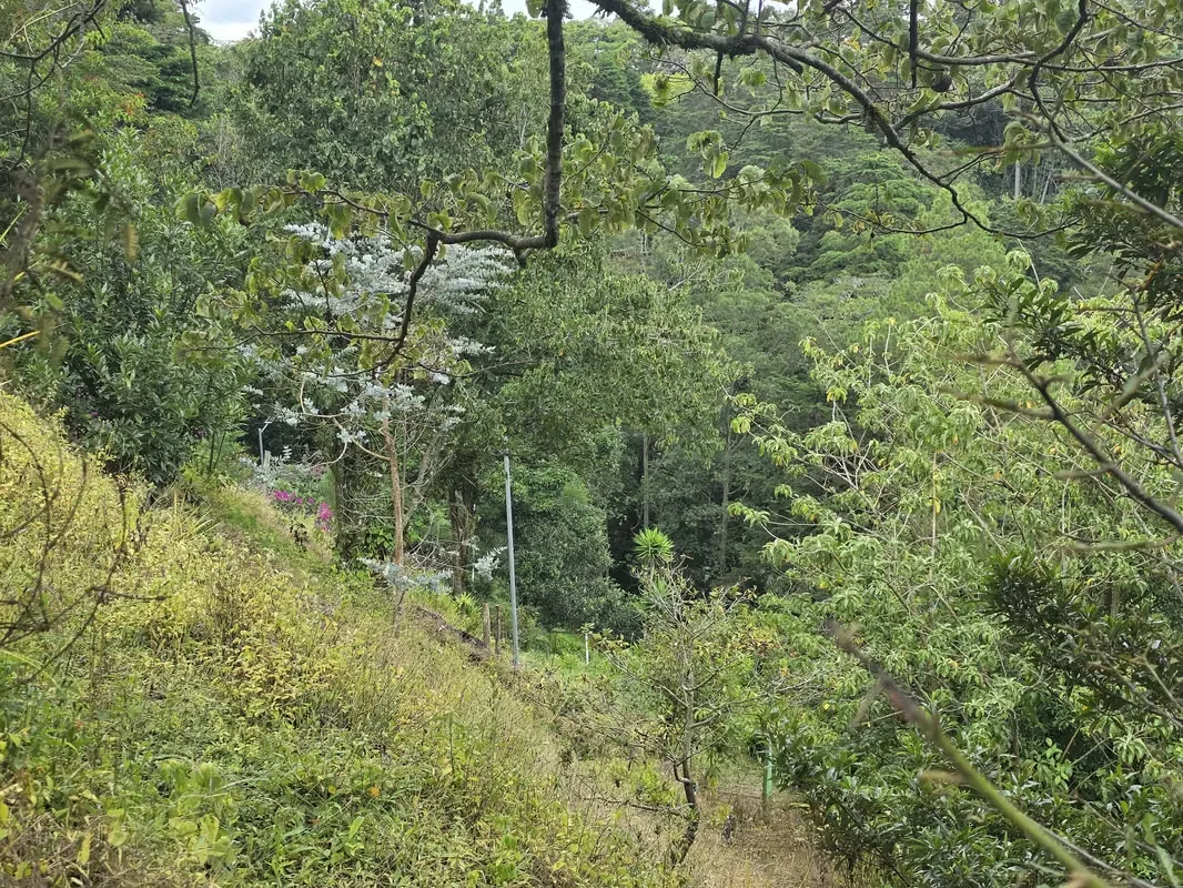 MA Asesorías Vende Hermosa Quinta con Vista a las montañas y a la ciudad, con acceso por calle asfaltada y colindancia a rio., photo 16