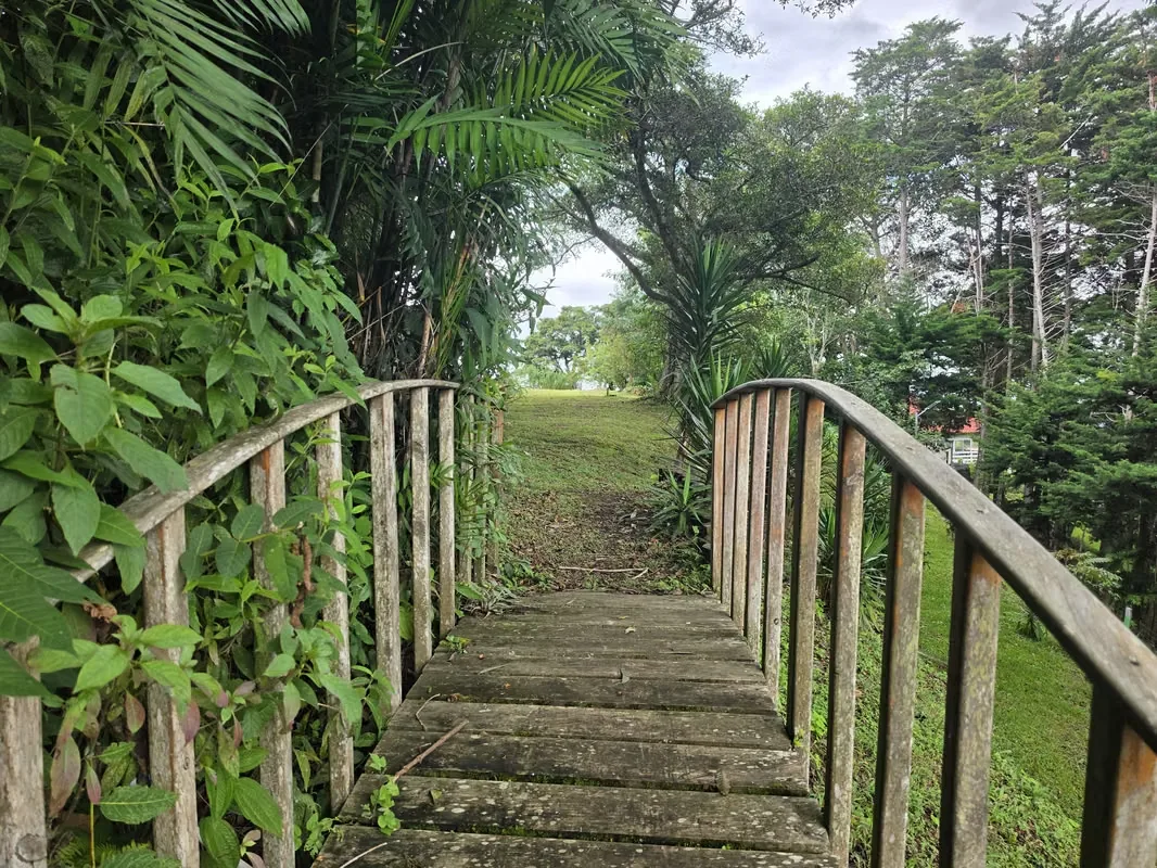 MA Asesorías Vende Hermosa Quinta con Vista a las montañas y a la ciudad, con acceso por calle asfaltada y colindancia a rio., photo 6