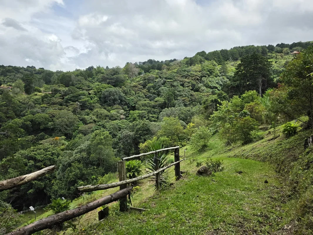 MA Asesorías Vende Hermosa Quinta con Vista a las montañas y a la ciudad, con acceso por calle asfaltada y colindancia a rio., photo 7