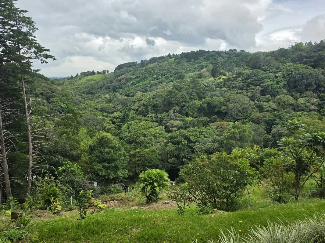 MA Asesorías Vende Hermosa Quinta con Vista a las montañas y a la ciudad, con acceso por calle asfaltada y colindancia a rio., photo 8