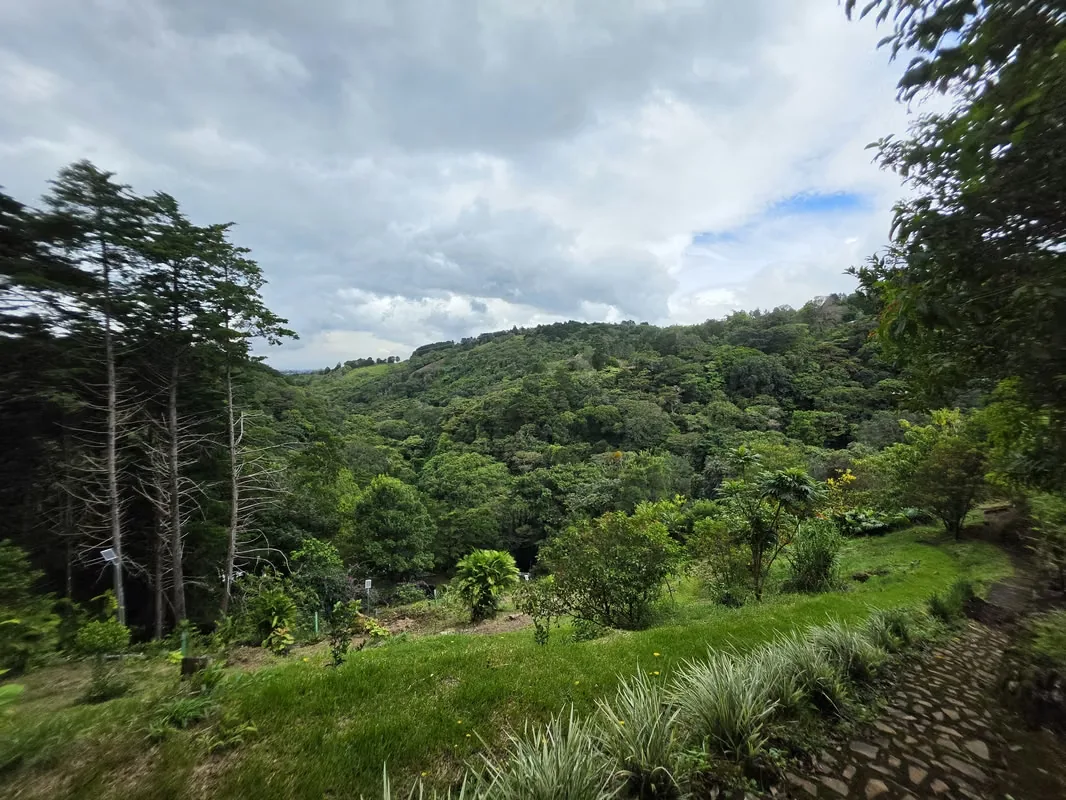 MA Asesorías Vende Hermosa Quinta con Vista a las montañas y a la ciudad, con acceso por calle asfaltada y colindancia a rio., photo 10