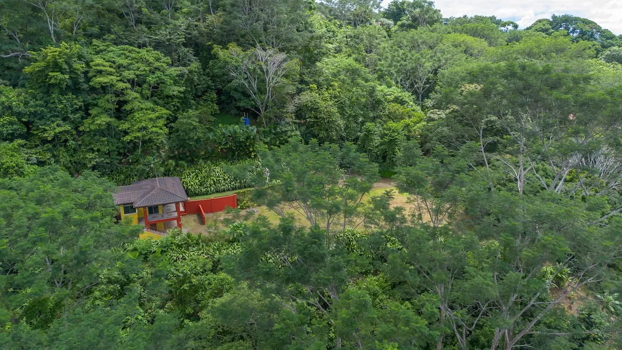 TWO FLOOR PROPERTY WITH A LANDSCAPING VIEWS AND OCEAN, IN TRES RIOS – 3.9 ACRES, photo 19
