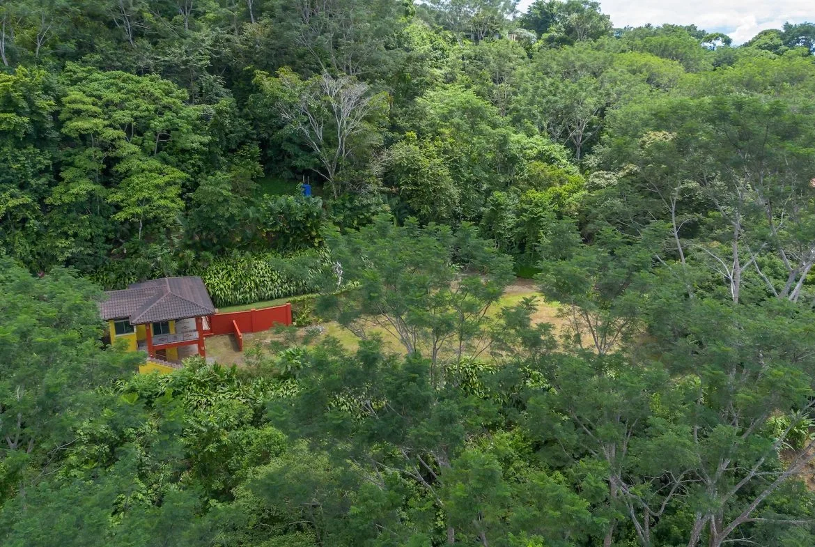 TWO FLOOR PROPERTY WITH A LANDSCAPING VIEWS AND OCEAN, IN TRES RIOS – 3.9 ACRES, photo 20