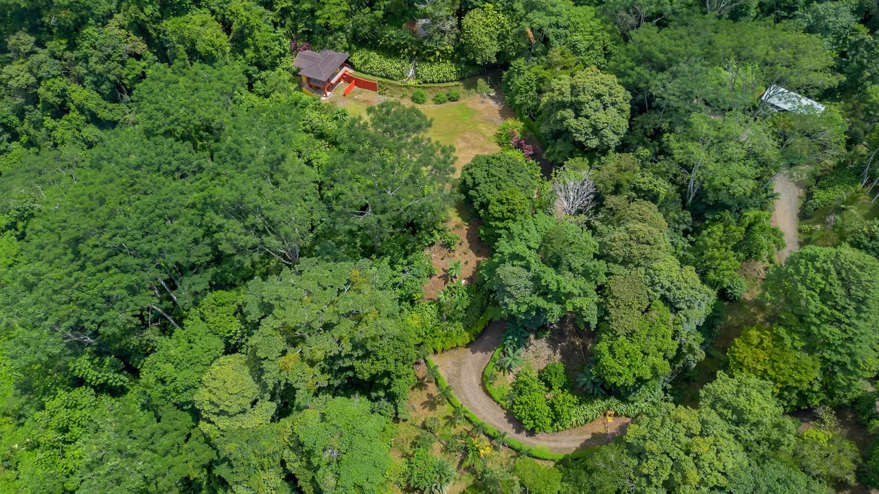 TWO FLOOR PROPERTY WITH A LANDSCAPING VIEWS AND OCEAN, IN TRES RIOS – 3.9 ACRES, photo 3