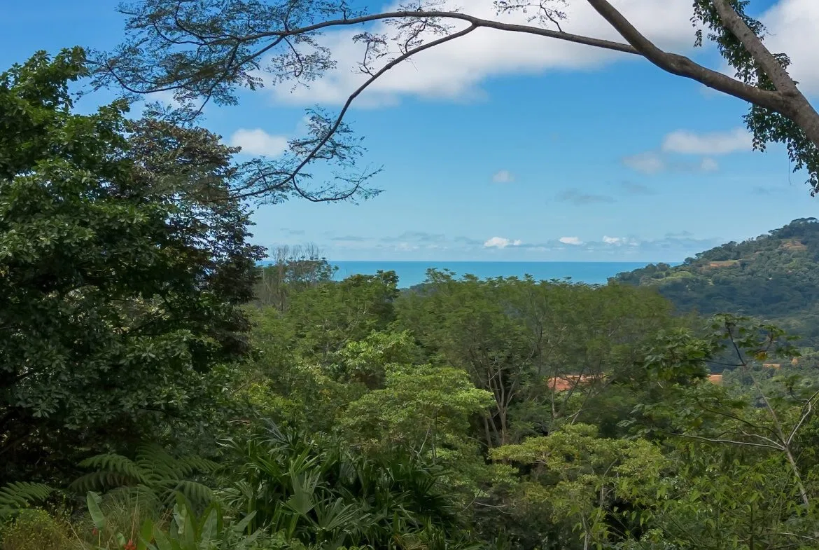 TWO FLOOR PROPERTY WITH A LANDSCAPING VIEWS AND OCEAN, IN TRES RIOS – 3.9 ACRES, photo 24
