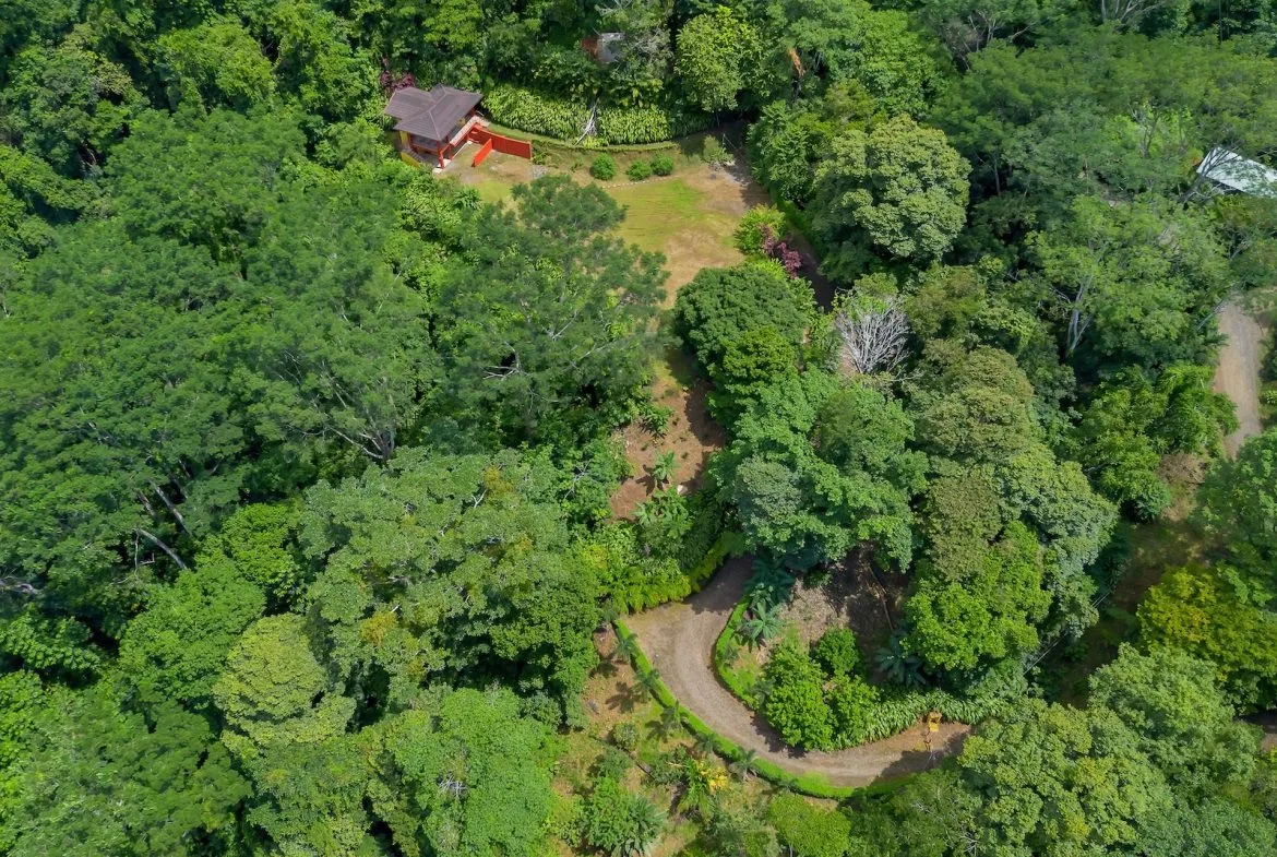 TWO FLOOR PROPERTY WITH A LANDSCAPING VIEWS AND OCEAN, IN TRES RIOS – 3.9 ACRES, photo 4