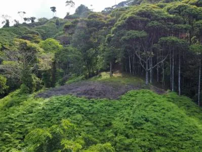 Lotes con vista al océano en la exclusiva zona montañosa de Uvita., photo 6