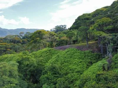 Lotes con vista al océano en la exclusiva zona montañosa de Uvita., photo 7