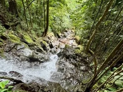 Lotes con vista al océano en la exclusiva zona montañosa de Uvita., photo 8