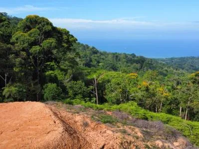 Lotes con vista al océano en la exclusiva zona montañosa de Uvita., photo 10