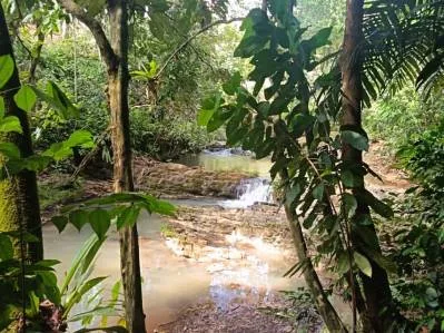 Charming 2-Bedroom Home in Ojochal, with stunning jungle & mountains views., photo 2