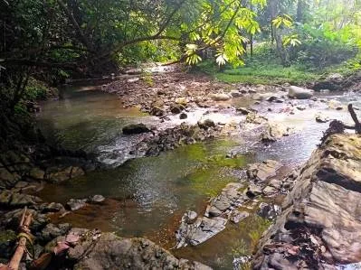 Charming 2-Bedroom Home in Ojochal, with stunning jungle & mountains views., photo 3