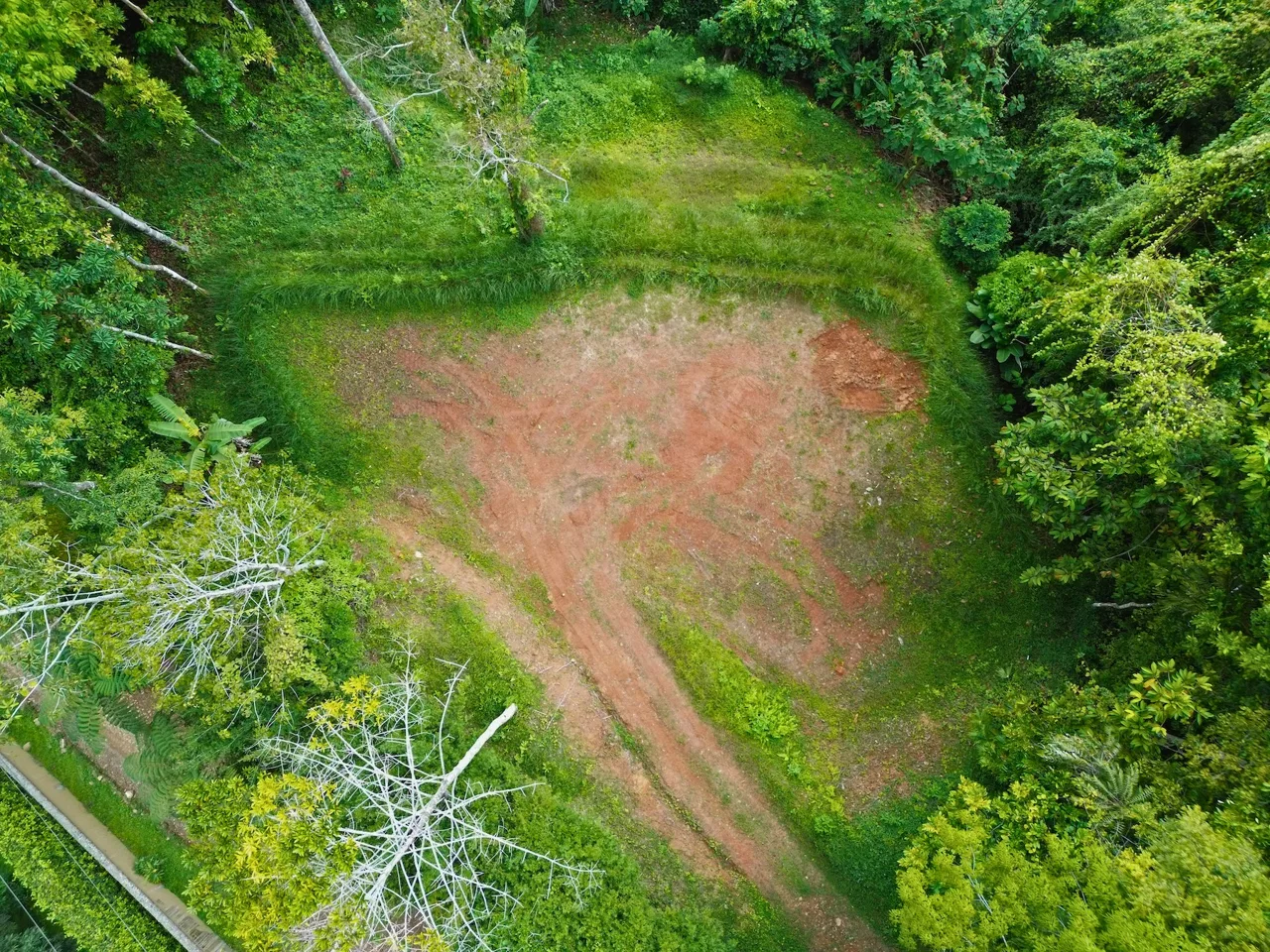FLAT LAND WITH OCEAN VIEWS AND JUNGLE SURROUNDINGS, IN UVITA – 1.2 ACRES, photo 2