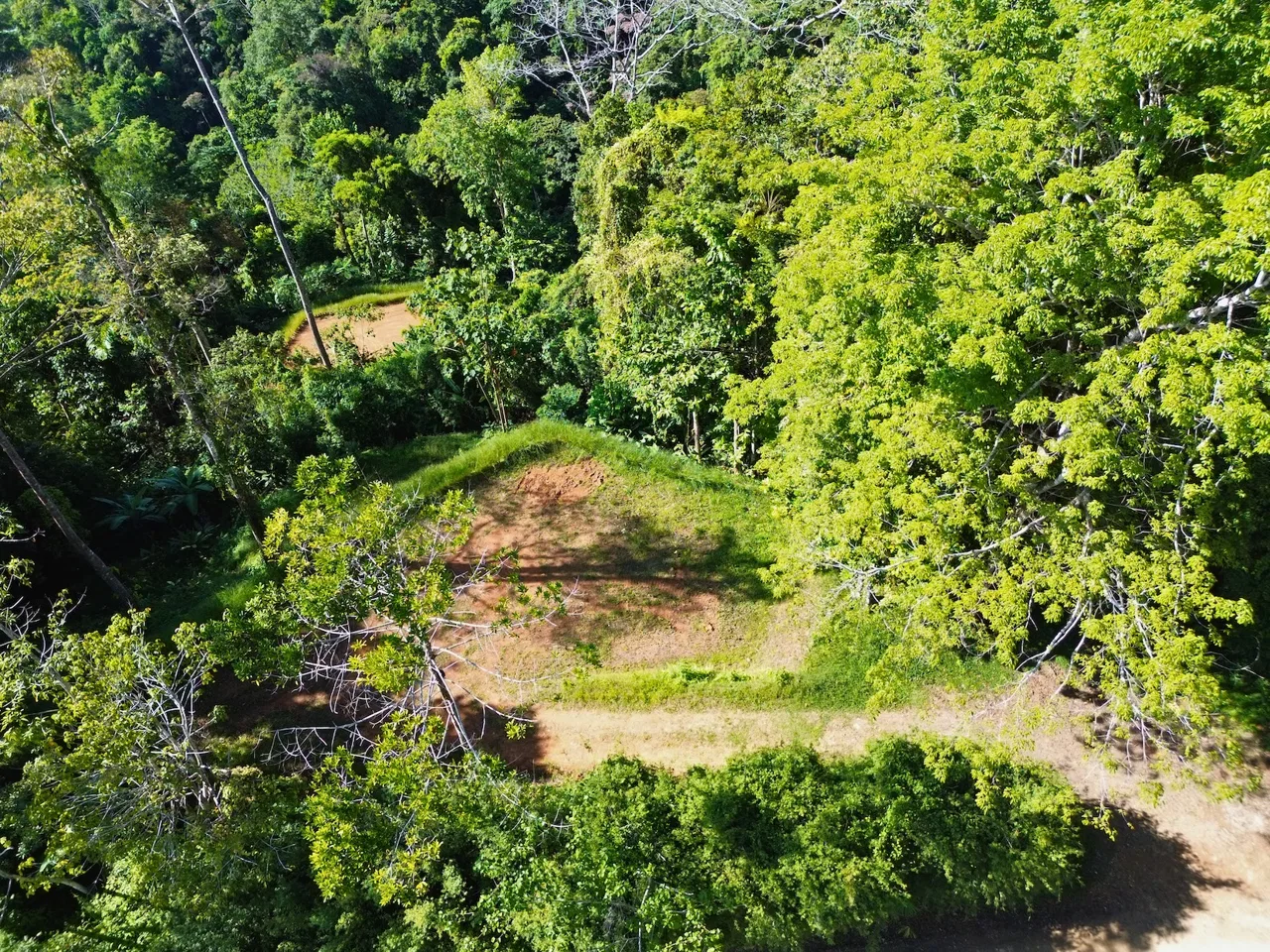 FLAT LAND WITH OCEAN VIEWS AND JUNGLE SURROUNDINGS, IN UVITA – 1.2 ACRES, photo 11