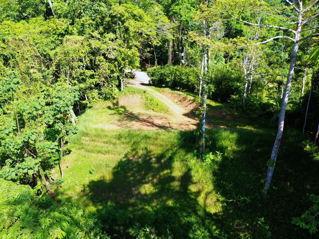 FLAT LAND WITH OCEAN VIEWS AND JUNGLE SURROUNDINGS, IN UVITA – 1.2 ACRES, photo 12
