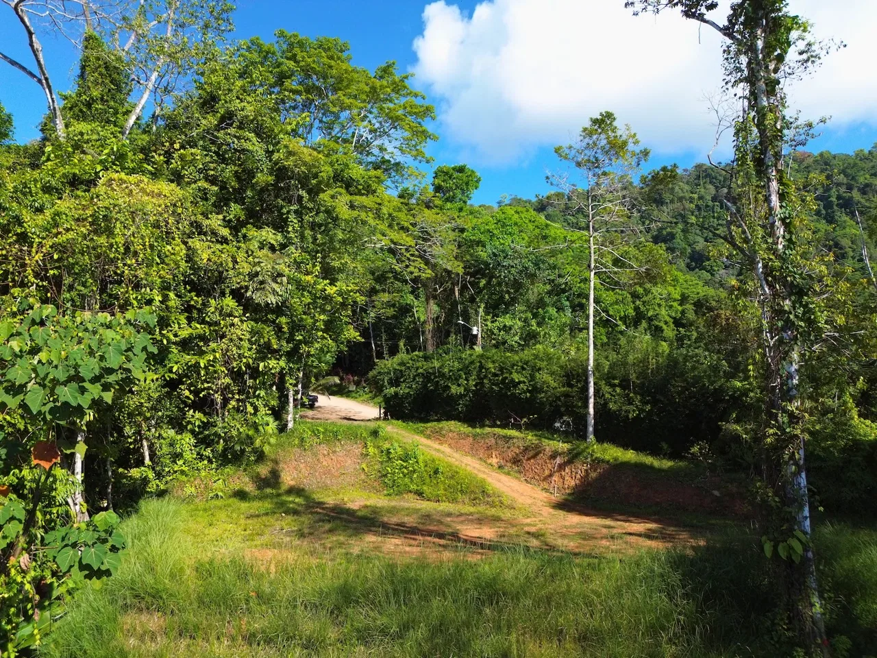 FLAT LAND WITH OCEAN VIEWS AND JUNGLE SURROUNDINGS, IN UVITA – 1.2 ACRES, photo 4