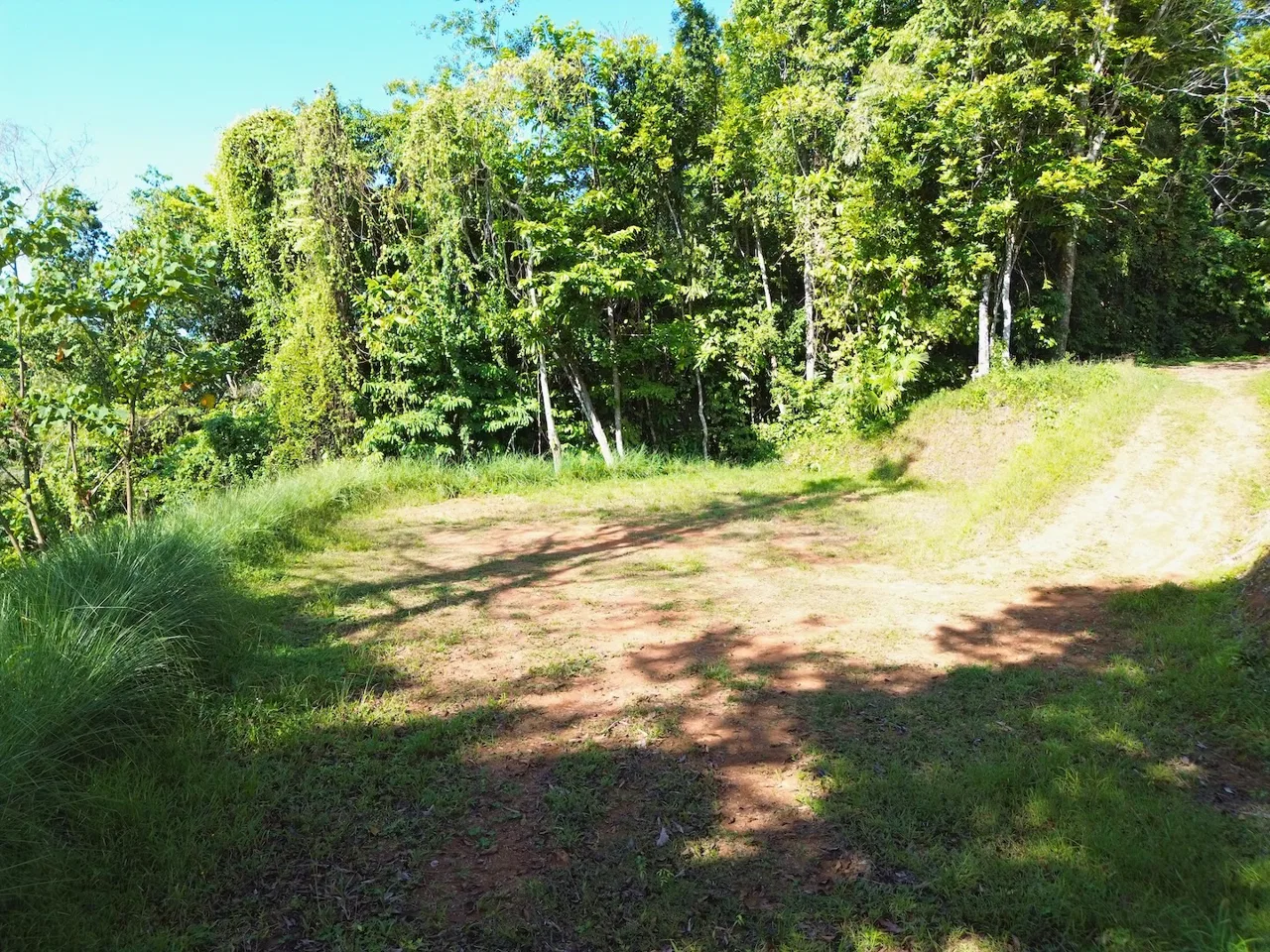 FLAT LAND WITH OCEAN VIEWS AND JUNGLE SURROUNDINGS, IN UVITA – 1.2 ACRES, photo 5