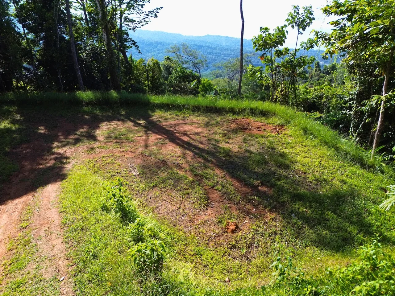 FLAT LAND WITH OCEAN VIEWS AND JUNGLE SURROUNDINGS, IN UVITA – 1.2 ACRES, photo 6