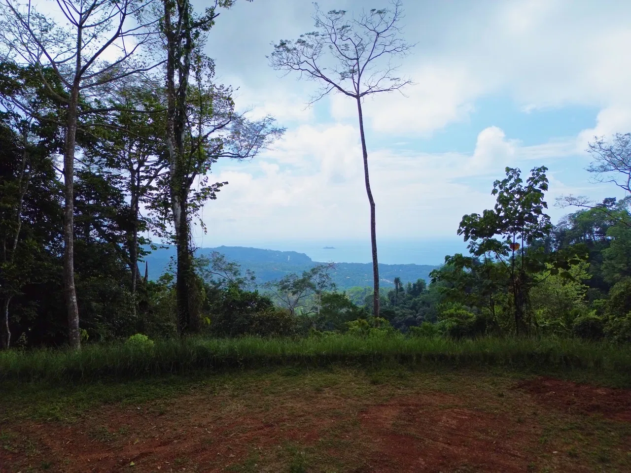 FLAT LAND WITH OCEAN VIEWS AND JUNGLE SURROUNDINGS, IN UVITA – 1.2 ACRES, photo 9