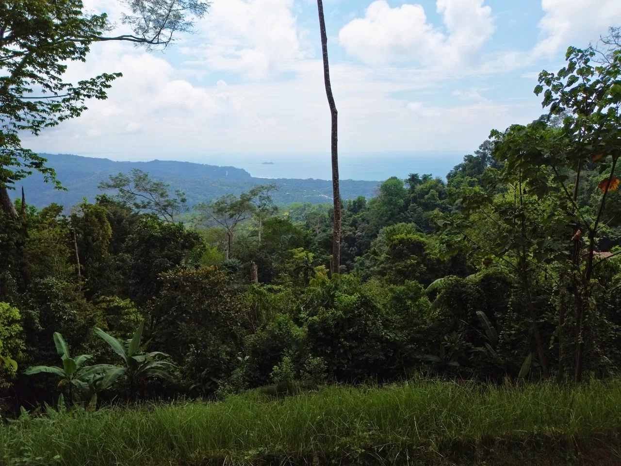 FLAT LAND WITH OCEAN VIEWS AND JUNGLE SURROUNDINGS, IN UVITA – 1.2 ACRES, photo 10