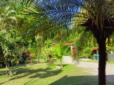 🔥SALE🔥Cabinas con Piscina en jardín tropical - Cahuita Playa Negra - 200 m a la playa