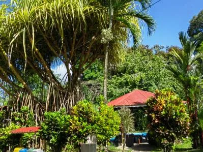 🔥SALE🔥Cabinas con Piscina en jardín tropical - Cahuita Playa Negra - 200 m a la playa, photo 4
