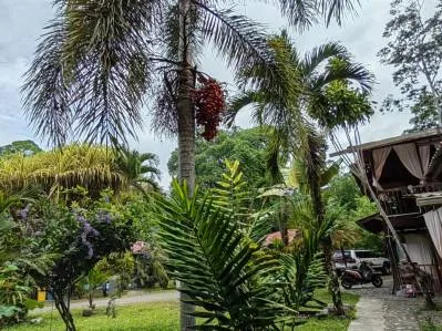🔥SALE🔥Cabinas con Piscina en jardín tropical - Cahuita Playa Negra - 200 m a la playa, photo 7