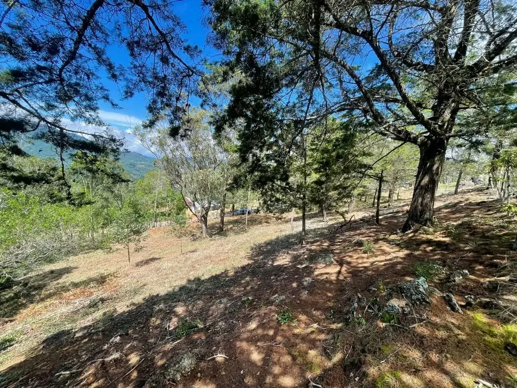Imagine waking up every morning surrounded by breathtaking mountains, fresh air, and some of Costa Rica's most spectacular landscapes. This exclusive 1,916 m² (20,624 sq. ft.) lot in ..., photo 11