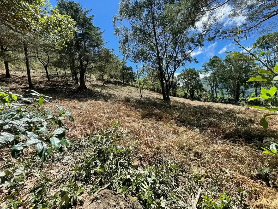 Imagine waking up every morning surrounded by breathtaking mountains, fresh air, and some of Costa Rica's most spectacular landscapes. This exclusive 1,916 m² (20,624 sq. ft.) lot in ..., photo 12