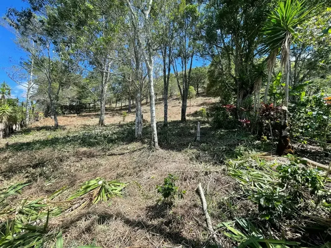 Imagine waking up every morning surrounded by breathtaking mountains, fresh air, and some of Costa Rica's most spectacular landscapes. This exclusive 1,916 m² (20,624 sq. ft.) lot in ..., photo 13