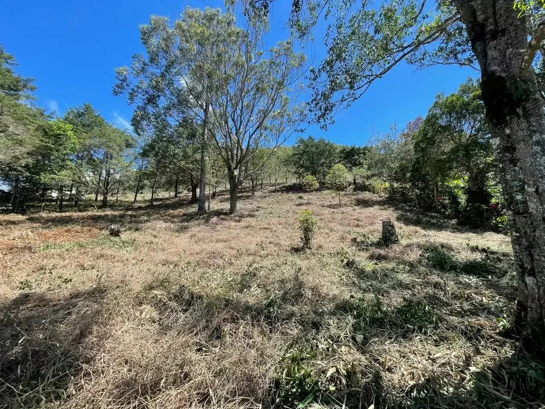Imagine waking up every morning surrounded by breathtaking mountains, fresh air, and some of Costa Rica's most spectacular landscapes. This exclusive 1,916 m² (20,624 sq. ft.) lot in ..., photo 14