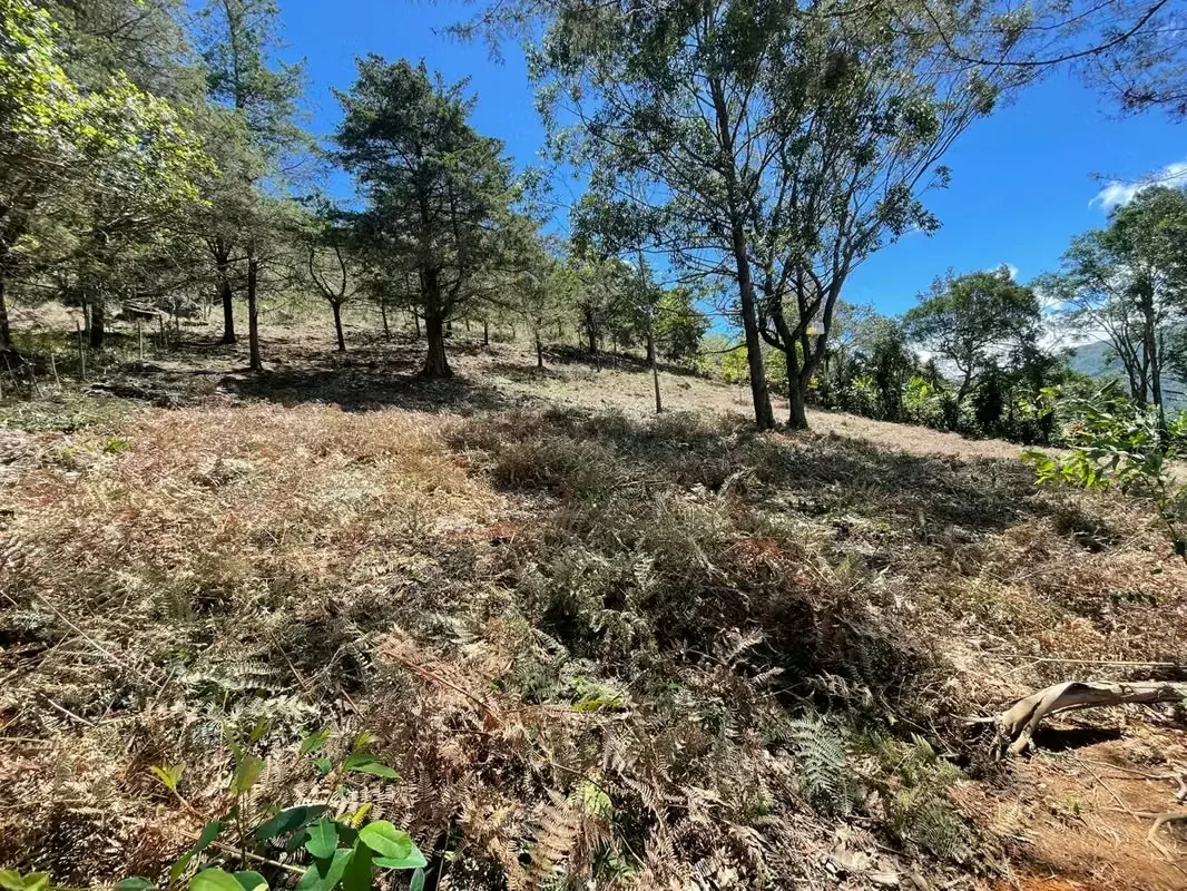 Imagine waking up every morning surrounded by breathtaking mountains, fresh air, and some of Costa Rica's most spectacular landscapes. This exclusive 1,916 m² (20,624 sq. ft.) lot in ..., photo 15