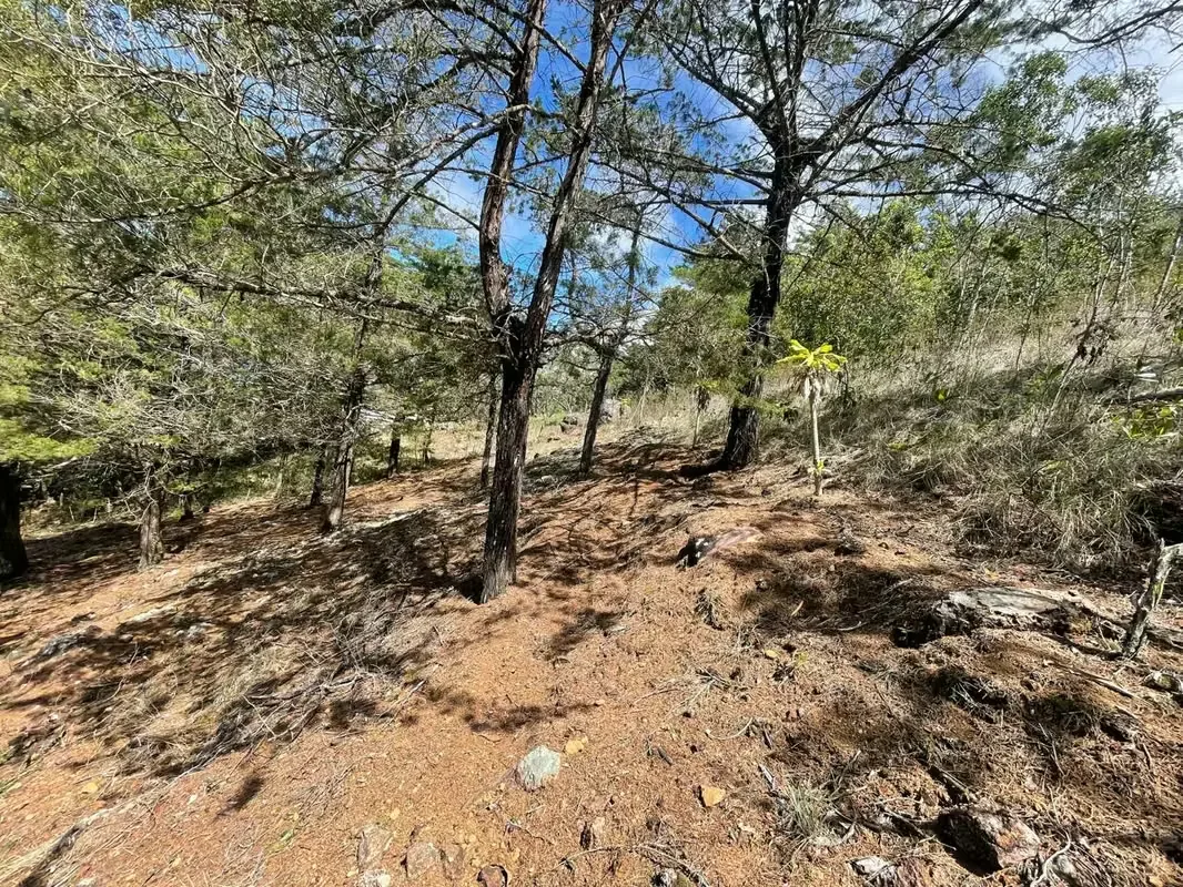 Imagine waking up every morning surrounded by breathtaking mountains, fresh air, and some of Costa Rica's most spectacular landscapes. This exclusive 1,916 m² (20,624 sq. ft.) lot in ..., photo 16