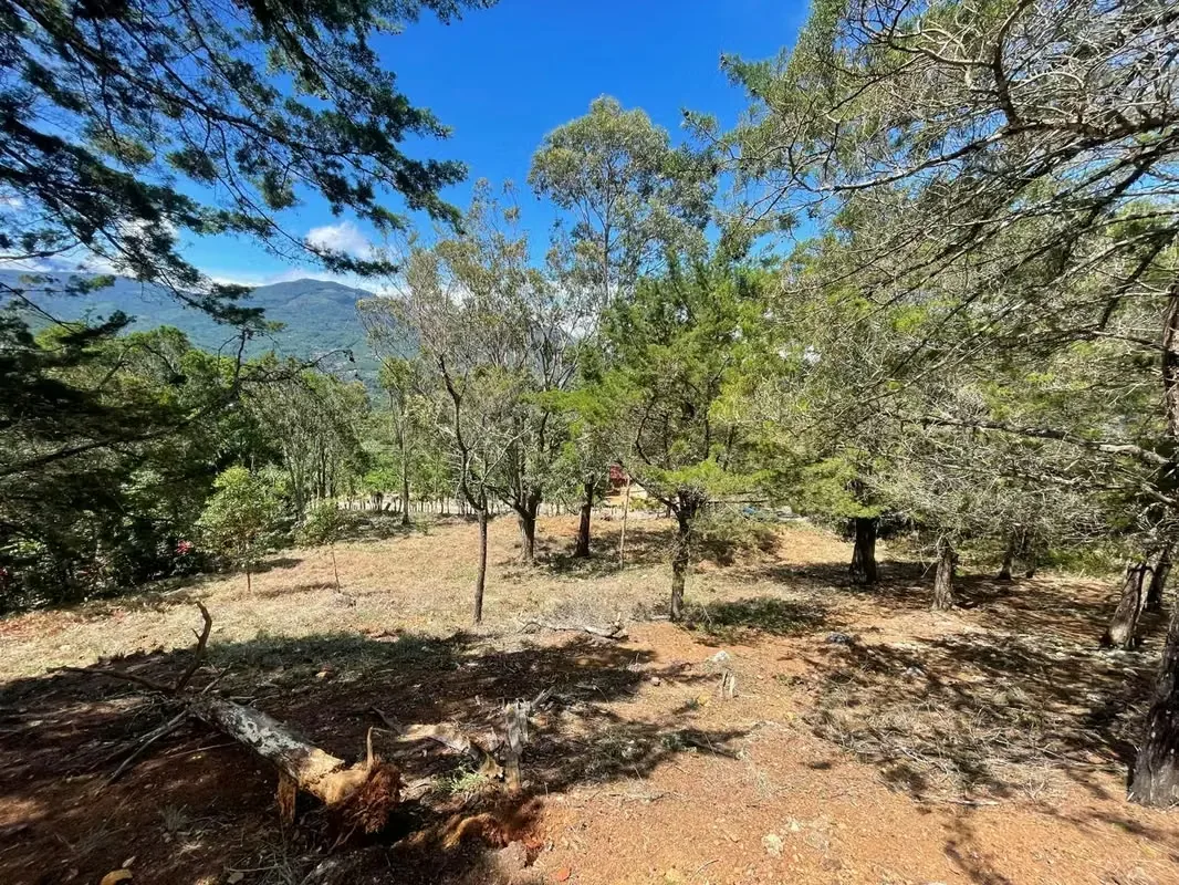 Imagine waking up every morning surrounded by breathtaking mountains, fresh air, and some of Costa Rica's most spectacular landscapes. This exclusive 1,916 m² (20,624 sq. ft.) lot in ..., photo 3