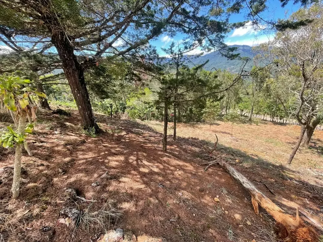 Imagine waking up every morning surrounded by breathtaking mountains, fresh air, and some of Costa Rica's most spectacular landscapes. This exclusive 1,916 m² (20,624 sq. ft.) lot in ..., photo 4