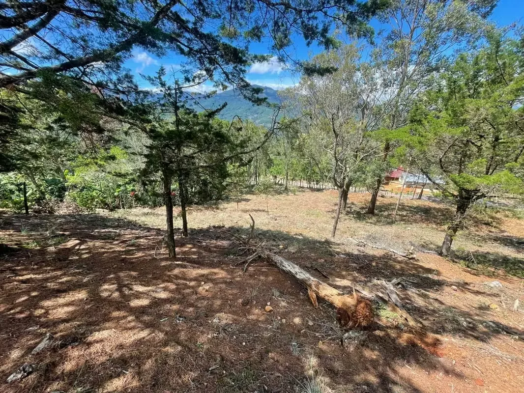 Imagine waking up every morning surrounded by breathtaking mountains, fresh air, and some of Costa Rica's most spectacular landscapes. This exclusive 1,916 m² (20,624 sq. ft.) lot in ..., photo 5