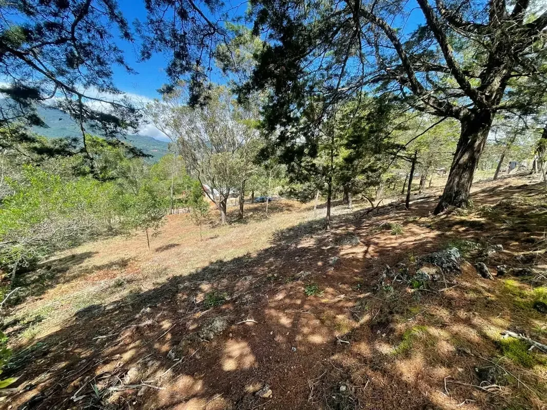Imagine waking up every morning surrounded by breathtaking mountains, fresh air, and some of Costa Rica's most spectacular landscapes. This exclusive 1,916 m² (20,624 sq. ft.) lot in ..., photo 6