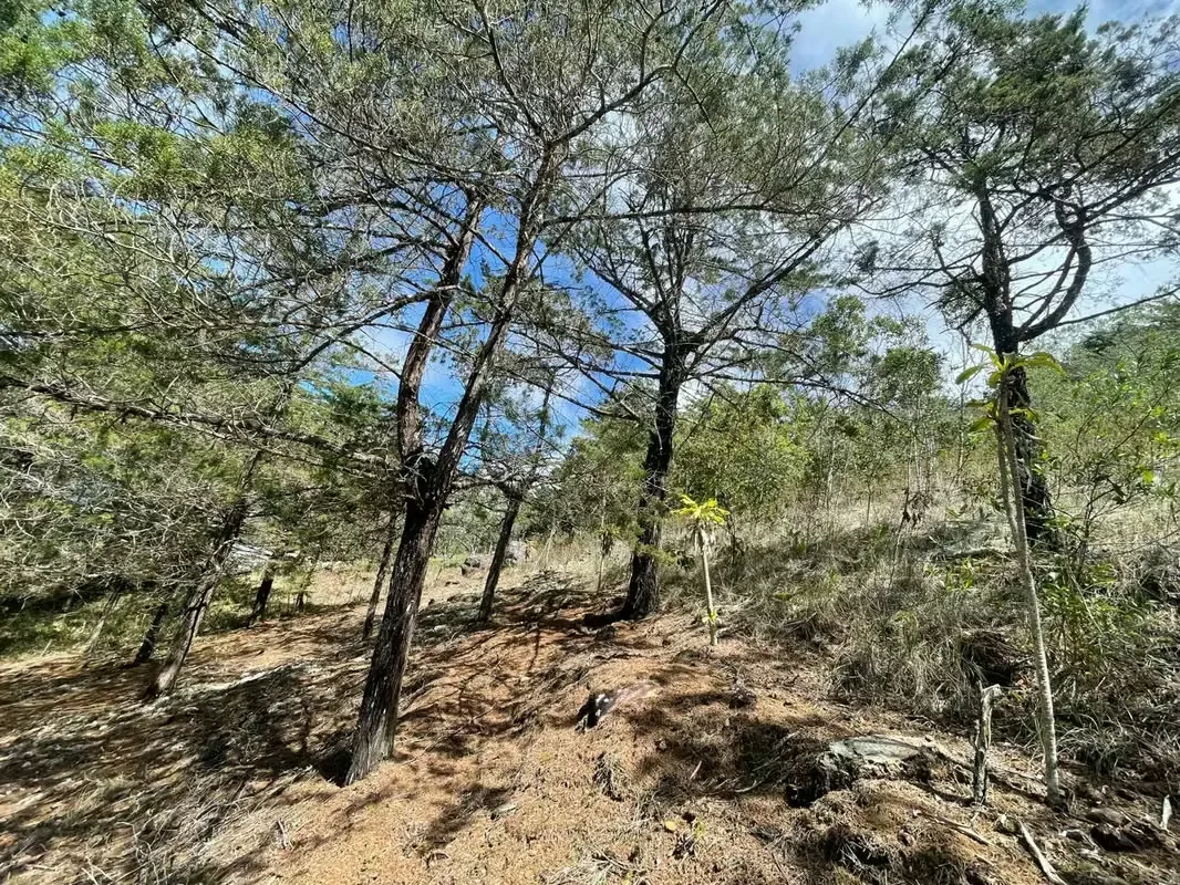 Imagine waking up every morning surrounded by breathtaking mountains, fresh air, and some of Costa Rica's most spectacular landscapes. This exclusive 1,916 m² (20,624 sq. ft.) lot in ..., photo 7