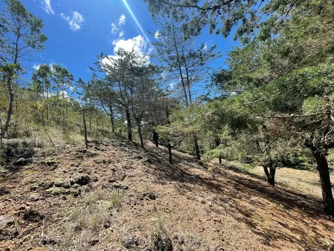 Imagine waking up every morning surrounded by breathtaking mountains, fresh air, and some of Costa Rica's most spectacular landscapes. This exclusive 1,916 m² (20,624 sq. ft.) lot in ..., photo 8