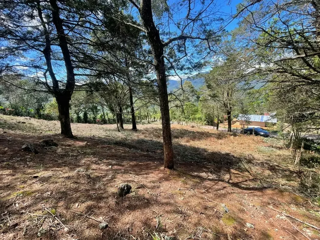 Imagine waking up every morning surrounded by breathtaking mountains, fresh air, and some of Costa Rica's most spectacular landscapes. This exclusive 1,916 m² (20,624 sq. ft.) lot in ..., photo 9
