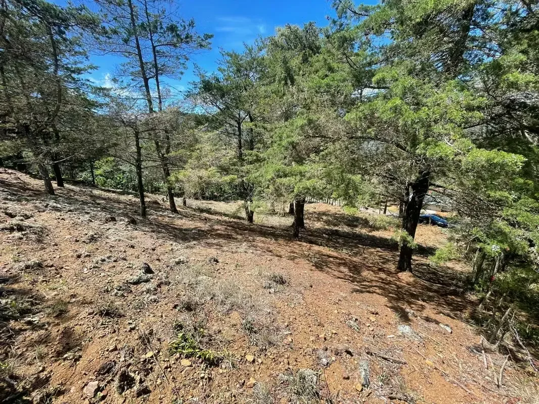 Imagine waking up every morning surrounded by breathtaking mountains, fresh air, and some of Costa Rica's most spectacular landscapes. This exclusive 1,916 m² (20,624 sq. ft.) lot in ..., photo 10
