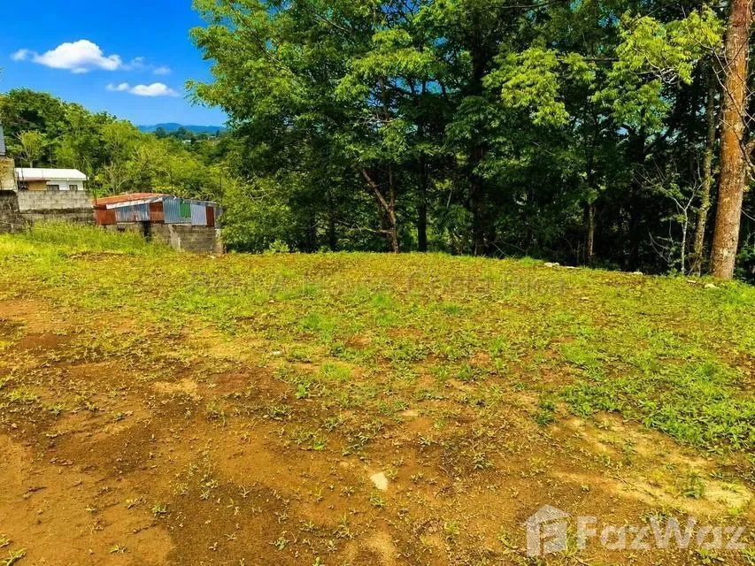 Land for Sale at Goicochea for $145,000, photo 7