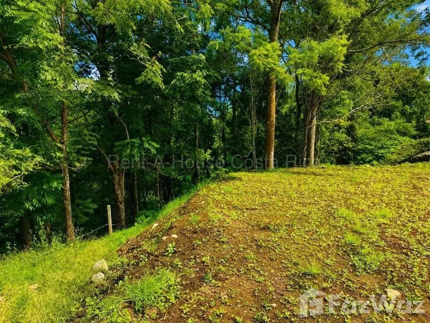Land for Sale at Goicochea for $145,000, photo 8