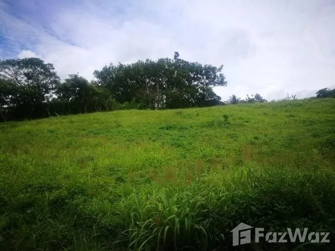 Land for Sale in Tilaran, Guanacaste for $258,093, photo 2