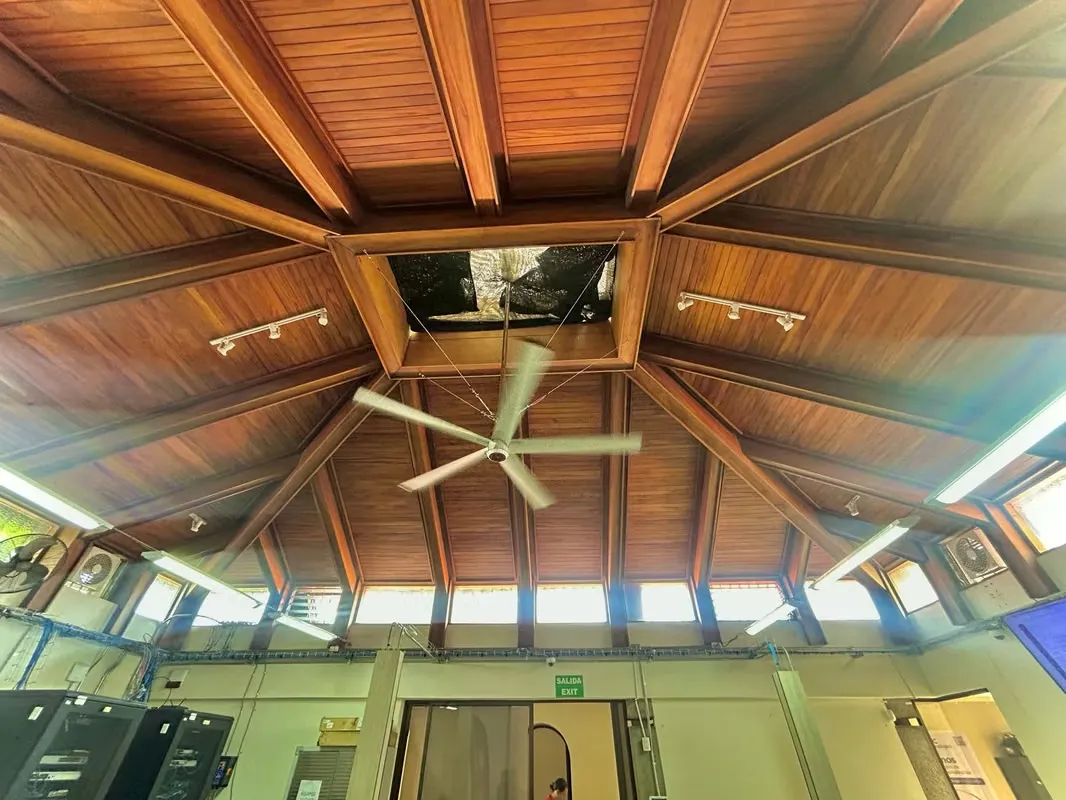 MIXED-USE HOUSE FOR SALE, SAN JOSÉ, ROHMOSER, BULEVAR, photo 8