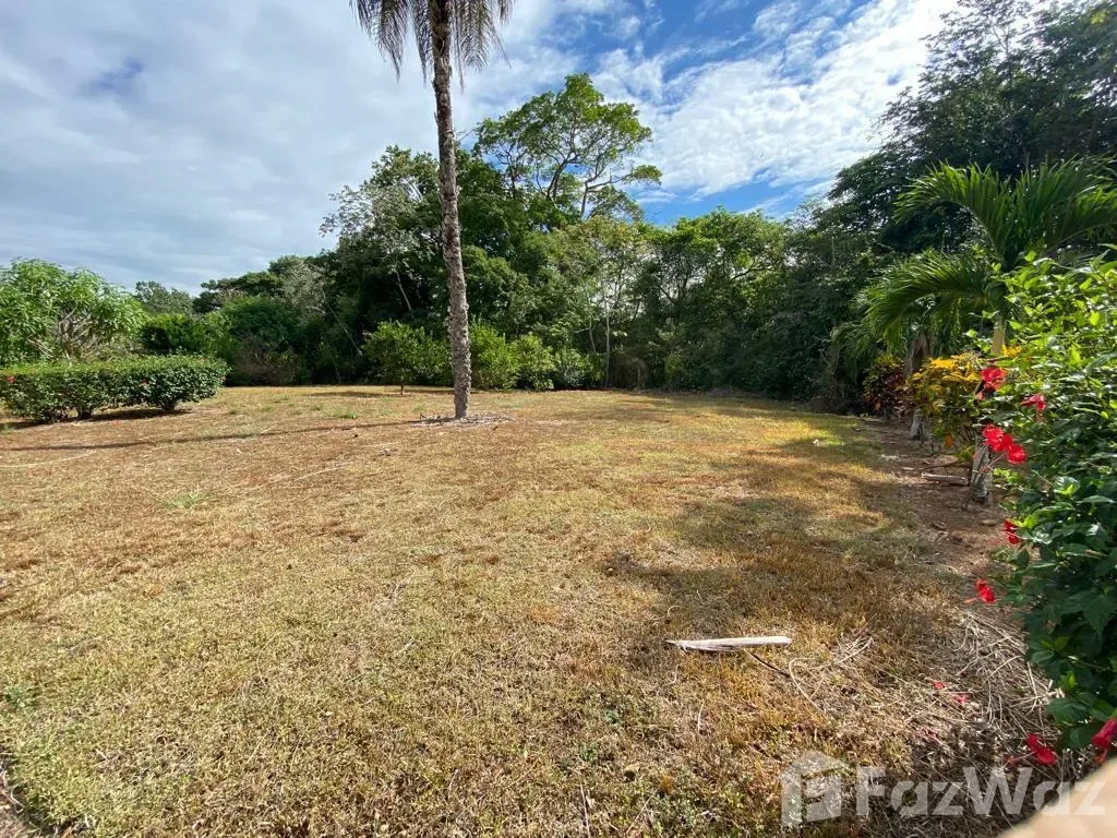 Land for Sale in Turrubares, San Jose for $37,700, photo 8