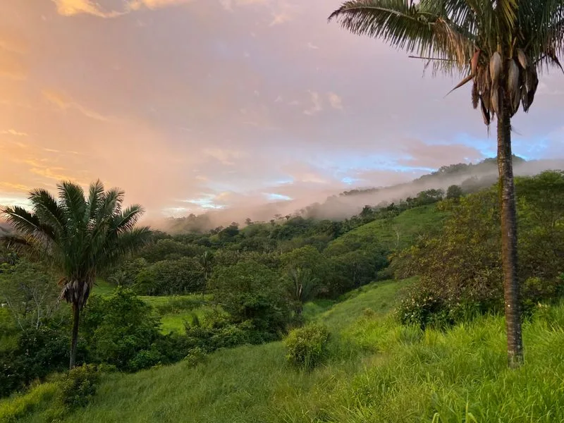Land For Sale in Santa Marta