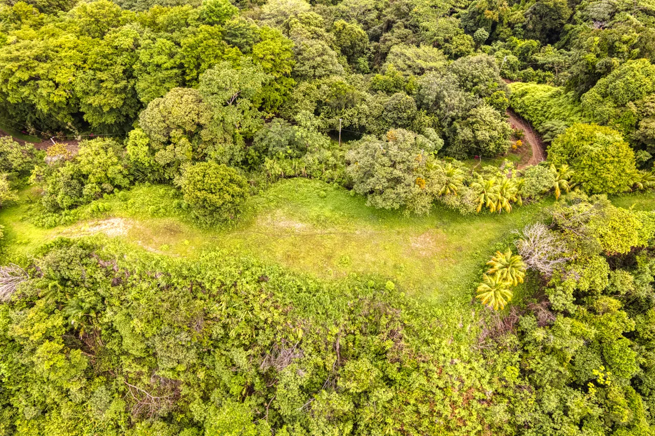 Coronado Estates First Ridge Ocean View Homesites, photo 8