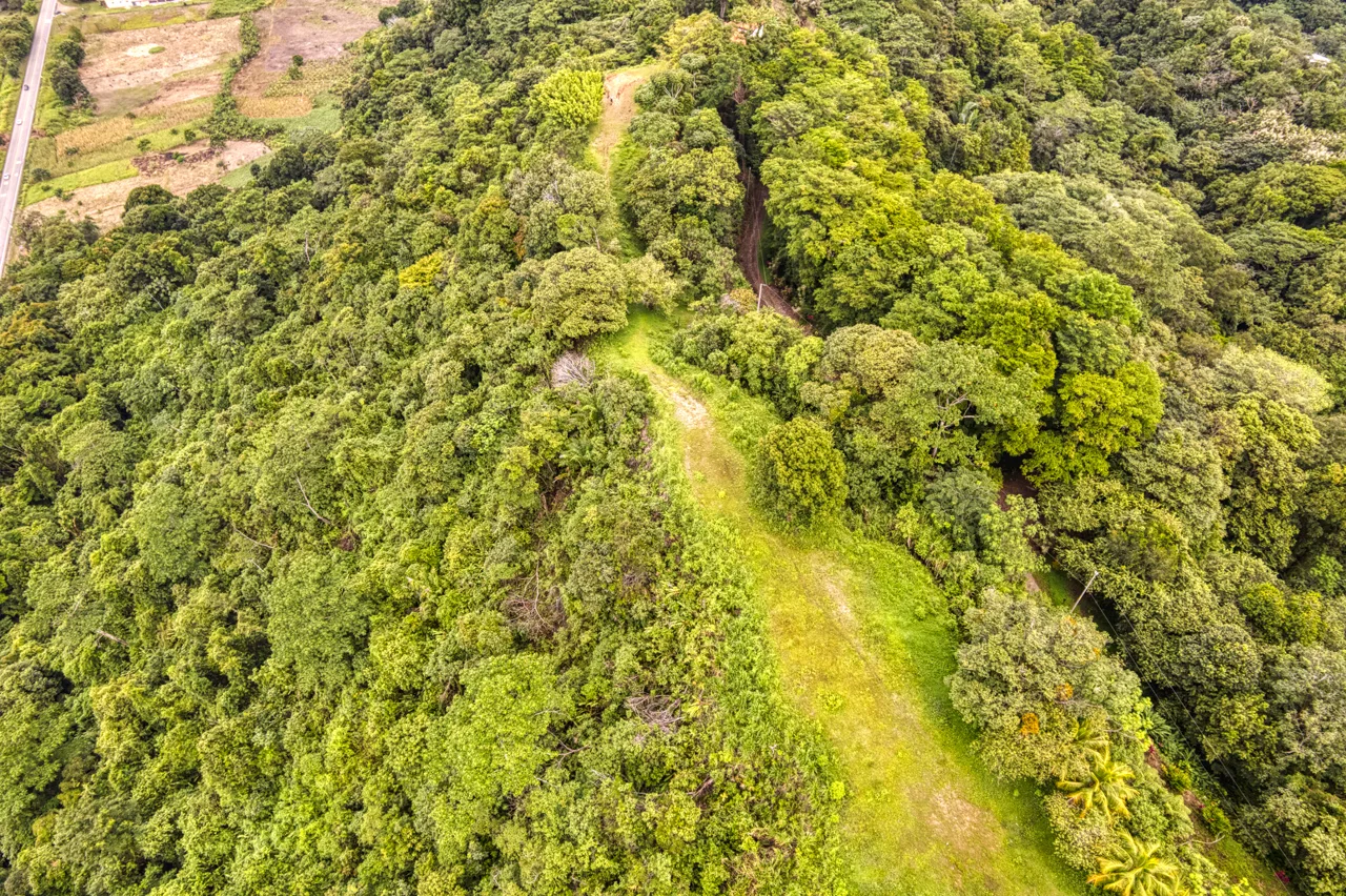 Coronado Estates First Ridge Ocean View Homesites, photo 9